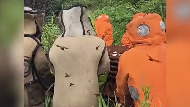 感谢大自然的馈赠