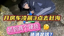 开着房车凌晨3点去赶海，抓到两个硬货，削梨怒赚16块钱！