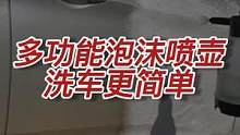 泡沫喷壶还能有其他用途!!!#鲁车日常 #精致洗车 