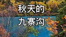 九寨归来不看水 秋天是九寨最美的季节#九寨沟
