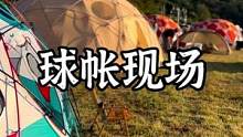 大型球帐群露营现场#露营报告 #户外 #野营 