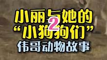 小丽在后山山洞里捡到一窝狗狗的最终后续，您觉得呢？#万物皆有灵性 #萌宠 #神奇动物在抖音