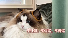 听说猫咪会用耳朵甩掉皮筋，我试过了我家的不是猫