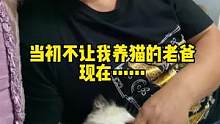 此时此刻我有一个大胆的想法#萌宠 #万万没想到 #评论区看看你们的猫 #当初不让我养猫的老爸现在