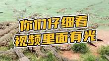 你们仔细看，这个视频有光#鳄珍  