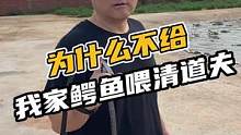 为什么不给我家的鳄鱼喂清道夫吃？#鳄珍 