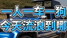 一人一车一狗，今天流浪到哪里了？ #户外露营 #自驾游 #越野 #北京bj40 #柴犬