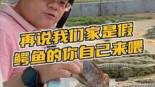 再是我们家是假鳄鱼的你自己来喂#鳄珍 