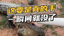 这要是真的手一瞬间就没了#鳄珍 