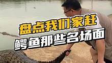 盘点我们家那些赶鳄鱼名场面#鳄珍 