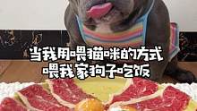 当我用喂猫咪的方式喂狗子吃饭…