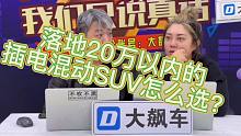 落地20万以内的插电混动SUV怎么选？#博越L#插电混动