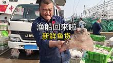 山东石岛码头，回来的渔船卸海鲜，老海带大家看看都有什么好东西