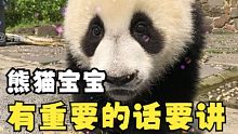 可爱的熊猫宝宝有话，想对刚刚下班的你说！