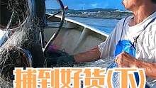 来叔夫妻俩出海捕鱼，海鲜拉上来一堆又一堆，值钱的九节虾黄瓜鱼（下）