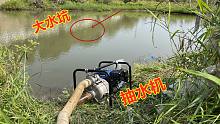 老乡发现水坑里有怪鱼，租2台抽水机把水抽干，抓到20斤鱼真过瘾