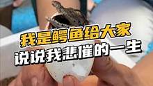 大家好，我是鳄鱼，给你们说说我悲催的一生#鳄珍 