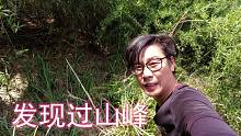 竹林里发现一条过山峰皮，抓起来一看哇哇哇大叫，还戴着眼镜