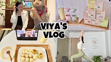 【viyaaaa】vlog#88 | 已婚全职博主的一天 | 工作就是生活 生活亦是工作 | 开始养