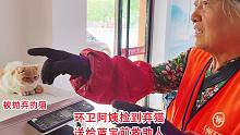国庆节，环卫阿姨捡弃猫送店里，还要出点钱帮治病，这猫看着好乖