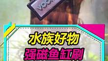强磁鱼缸刷试用跑偏了，爆橘、提水、手撕...#水族 #观赏鱼 