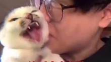 猫咪究竟在害怕什么？#猫 #娱乐评论大赏