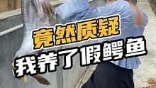 竟然质疑我养了假鳄鱼#鳄鱼养殖#鳄鱼鳄#鳄鱼养殖#鳄鱼#鳄珍 
