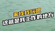 来找我玩吧，这就是我工作的地方#鳄鱼养殖 #鳄珍#鳄鱼 