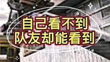自己看不到，队友却能看到