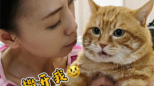 猫猫你明白我说什么嘛