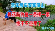 不买房常年房车安家深山，和老爸桃花岛钓鱼一条接一条，终于不空军