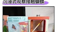 孩子看到就会惊喜的#礼物，亲眼见证蝴蝶破茧的过程，感受生命的奇妙#益智玩具#孵化蝴蝶#抖in宝贝计划