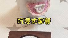 我可太喜欢配餐啦，看小狗狗吃饭好治愈～
#博美 #日常投喂 #狗狗吃饭 #宠物吃播 #萌宠出道计划