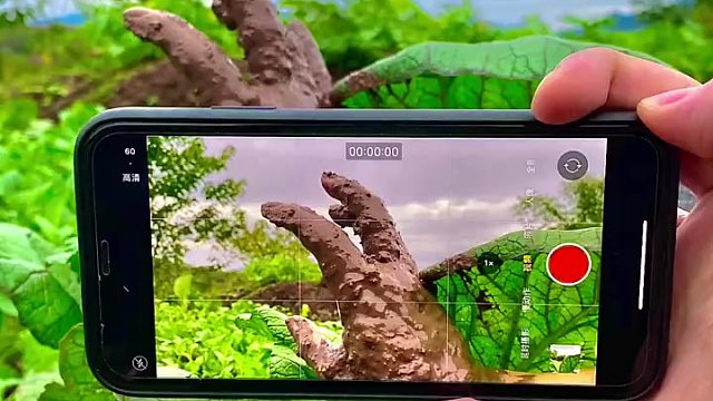 恐怖片这样拍太吓人，看完吓到了嘛