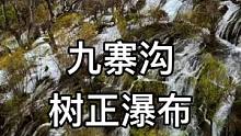 如果你们也来九寨沟 千万不要错过树正群海哟 一定要来打个卡#九寨沟