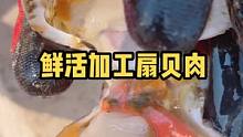 小章家的扇贝肉都是用鲜活的扇贝加工出来的哦！#海鲜原产地 #扇贝肉 #扇贝
