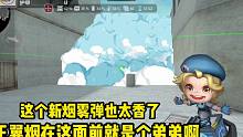 新版本即将上线一个超级香的烟雾弹，就这特效不比王者烟雾弹香？