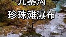 上个作品有人说没有珍珠滩瀑布 立马给补上#九寨沟