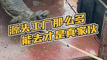 源头工厂那么多，真正能去的才是真家伙#鳄珍 