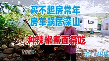 买不起房常年房车蜗居深山，自己种辣椒煮面条吃
