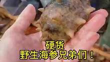 今天捞硬货野生海参兄弟姐妹们！#海参 #野生海参 #捞海参 #渔民日常 #出海