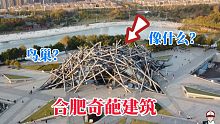 合肥奇葩鸟巢建筑，耗资近2亿打造，空中俯瞰就像一个柴火堆，涨见识了