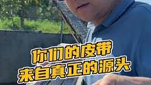 你们的皮带来自真正的源头工厂#鳄珍