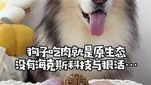 狗子吃肉就是原生态 没有会计于狠活