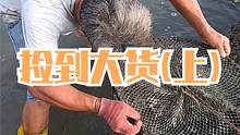 来叔捡废弃笼子捡到宝，150一斤的海货好给力，石洞下还有大八爪啊（上）