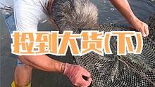 来叔捡废弃笼子捡到宝，150一斤的海货好给力，石洞下还有大八爪啊（下）