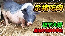 香猪噜噜造反大闹鱼房，跟大哥两人合力围捕，直接套袋上车去宰杀