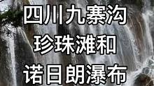 这个作品是两个景点合并的 前者是珍珠滩 后者是诺日朗瀑布 视频有点长 一定要耐心看完哟#九寨沟