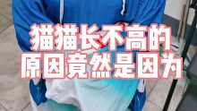 【初兽猫】吉祥物长不高的原因终于找到了。。