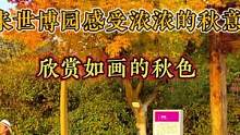 秋天的世博园太迷人了#一起去看看山东浪漫的秋吧 #属于秋天的颜色 #亲子游玩好去处 #周末去哪玩 #